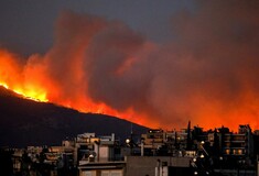 Φωτιές στην Αττική: Τα 12 μέτρα στήριξης για τους πυρόπληκτους - Οι δικαιούχοι