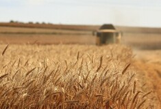 Υπέγραψαν συμφωνία για τα σιτηρά Ουκρανία-Ρωσία -Ελπίδες ότι θα πέσουν οι τιμές
