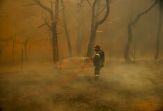 Συνεχίζεται η μάχη στα πύρινα μέτωπα: Καίει για τέταρτη ημέρα η φωτιά στον Έβρο, αναζωπύρωση στη Λέσβο