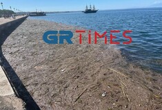 Θεσσαλονίκη: Γέμισε σκουπίδια ο Θερμαϊκός με σκουπίδια και νεκρά περιστέρια