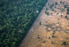 Αμαζόνιος: Πάνω από το 1/3 του τροπικού δάσους υποβαθμίστηκε από ανθρώπινη δραστηριότητα και ξηρασία