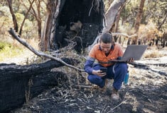 ΕΚΠΑ: Αυτά είναι τα πράσινα επαγγέλματος του μέλλοντος- Τι συμβαίνει στην Ελλάδα