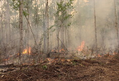 Πυρκαγιές στον Καναδά: 60 εκατ. στρέμματα έγιναν στάχτη από τον Ιανουάριο