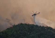 Αντιπυρική περίοδος: 14.040 πυροσβέστες σε ετοιμότητα - Αναλυτικά ο σχεδιασμός για φέτος