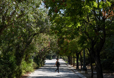 Πολύ υψηλός κίνδυνος πυρκαγιάς το Σάββατο- Κλειστά τα πάρκα της περιφέρειας Αττικής