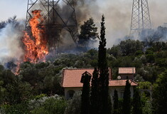 Φωτιά στον Κουβαρά- Δήμαρχος Σαρωνικού: «Υπάρχουν σπίτια που καίγονται»