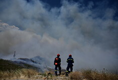 Φωτιές: Στα Δερβενοχώρια επικεντρωμένες οι προσπάθειες - Νέες εκκενώσεις στο Λουτράκι