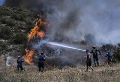 Φωτιά στη Μεσσηνία: Διπλό μέτωπο μεταξύ Βασιλιτσίου και Χρυσοκελλαριάς 