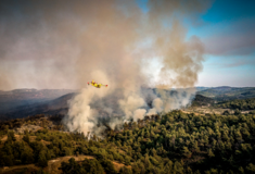 Φωτιά: Υψηλός κίνδυνος και την Παρασκευή- Σε ποιες περιοχές χρειάζεται προσοχή