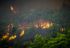 Φωτιά στη Ρόδο: Νέο μήνυμα 112 για εκκενώσεις - Καίγονται σπίτια και ξενοδοχεία