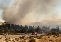 Φωτιά τώρα στο Πήλιο - Ρίψεις νερού από εναέρια μέσα