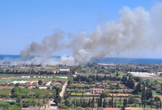 Φωτιά στον Μαραθώνα: Μήνυμα από το 112 για εκκένωση οικισμών - Ισχυρή δύναμη στο σημείο