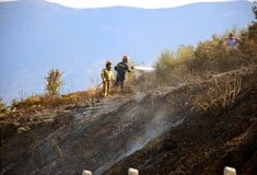 Φωτιά σε δασική έκταση μετά τα διόδια Ελευσίνας - Μέτωπο και στη Σκιάθο