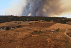 Φωτιά στην Αλεξανδρούπολη: Μπαράζ μηνυμάτων για εκκενώσεις- Σε επιφυλακή το αεροδρόμιο