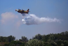 Φωτιά στην Αλεξανδρούπολη - Οριοθετήθηκε το μέτωπο στη Ζάκυνθο