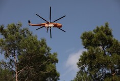 Φωτιά στην Αλεξανδρούπολη: Ανεξέλεγκτο το πύρινο μέτωπο- Σηκώθηκαν ξανά εναέρια μέσα