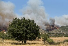 Φωτιά στην Αλεξανδρούπολη: Μεγάλη αναζωπύρωση στη Νίψα- Το πιο επικίνδυνο μέτωπο