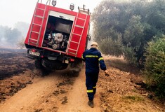 Φωτιές: Έφτασε η βοήθεια από την Κύπρο- Νέα ενίσχυση από τους Ρουμάνους πυροσβέστες