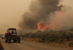 Στέργιος Καλπάκης για τις φωτιές: «Ζούμε ημέρες κατάρρευσης - Ανίκανο ξανά το επιτελικό κράτος»