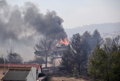 Φωτιά στην Πάρνηθα: Πώς ξέφυγε σε λίγα μόνο λεπτά 