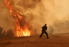 Αγωνία για τις φωτιές σε Πάρνηθα, Αλεξανδρούπολη και Βοιωτία- Επίφοβες οι ριπές για αναζωπύρωση