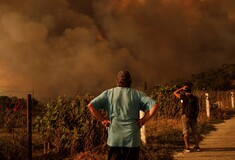 Φωτιές: Πάνω από 1.200.000 στρέμματα έχουν καεί μέσα σε δύο μήνες