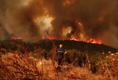 Φωτιά στην Αλεξανδρούπολη: Απανθρακωμένος εντοπίστηκε τις προηγούμενες ημέρες- Γιατί ανασύρθηκε χθες