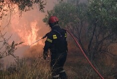 Φωτιές: Όλο το βάρος στον Έβρο πριν αλλάξουν οι άνεμοι - Η κατάσταση σε όλα τα πύρινα μέτωπα 