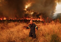 Φωτιά στην Αλεξανδρούπολη: Ο Έβρος φλέγεται - Μάχη με νέες αναζωπυρώσεις 