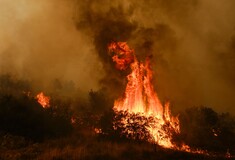 Φωτιά στον Αυλώνα: Προφυλακίστηκε ο 45χρονος που συνελήφθη για εμπρησμό