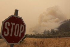 Φωτιά στον Έβρο: Τι περιλαμβάνει η κρατική βοήθεια προς τους πληγέντες