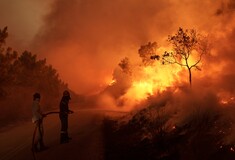 Κομισιόν: Η φωτιά στον Έβρο είναι η μεγαλύτερη που έχει καταγραφεί στην ΕΕ