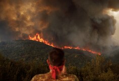 Politico: Αποδιοπομπαίους τράγους ψάχνουν στην Ελλάδα, για τη μεγαλύτερη φωτιά στην Ευρώπη