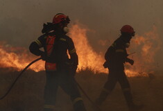 Φωτιές: 87 πυρκαγιές σε όλη την επικράτεια 