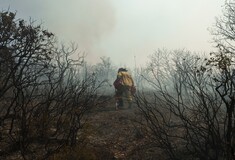 Φωτιά στον Έβρο: Η πύρινη επέλαση μέρα- μέρα, από δορυφορικές εικόνες- Στάχτη 812.000 στρέμματα