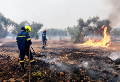 Μάχη με τις αναζωπυρώσεις στον Έβρο- Για 12η μέρα καίει η φωτιά στο δάσος της Δαδιάς