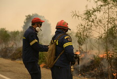 Φωτιά στον Έβρο: Απεγκλωβίστηκαν 25 μετανάστες στο δάσος της Δαδιάς