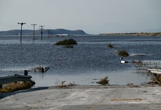 Θεσσαλία: Συναγερμός για τη λίμνη Κάρλα – Υγειονομική «βόμβα» τα νεκρά ζώα