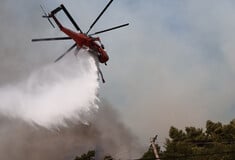 Φωτιά τώρα στο Κάτω Σούλι Μαραθώνα