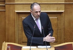 Γεραπετρίτης για ροζ ελληνικη σημαία: «Θα την ήθελα σε γκαλερί ή σπίτι μου, όχι στο ελληνικό προξενείο»