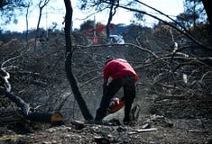 Δίκη για το Μάτι - Ψινάκης: «Οι δρόμοι ήταν κάτι στενά δρομάκια, για αυτό κάηκαν οι άνθρωποι»