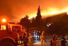 Υπό έλεγχο η φωτιά στη Ζάκυνθο - Κάηκαν πάνω από 170 στρέμματα δάσους