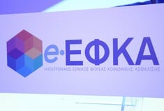 «Όχι» από ΣτΕ για γενικούς διευθυντές στον e-ΕΦΚΑ από τον ιδιωτικό τομέα