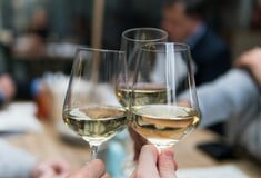 Messinia Terroirs Wine Festival: To δεύτερο φεστιβάλ οίνου αφιερωμένο στην αναγέννηση ενός ιστορικού αμπελώνα 14 - 16 Ιουνίου 2024 στη Navarino Agora