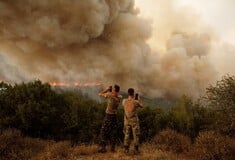 Δασικές πυρκαγιές: πόσοι έτοιμοι είμαστε να τις αντιμετωπίσουμε;