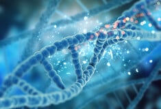 Φλεγμονώδης νόσος του εντέρου (IBD): Επιστήμονες εντόπισαν βασική αιτία της στο DNA