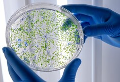 Η επιδημία E. coli στη Βρετανία πιθανότατα συνδέεται με τρόφιμο
