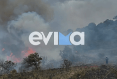 Φωτιά στην Εύβοια – 112 στους κατοίκους