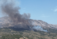 Μεγάλη φωτιά στη Χίο - Μήνυμα του 112 να εκκενωθούν οι Καρυές