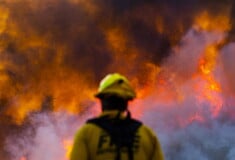 Ο καπνός από πυρκαγιές σκότωσε πάνω από 50.000 κατοίκους της Καλιφόρνια σε μια δεκαετία, λέει μελέτη